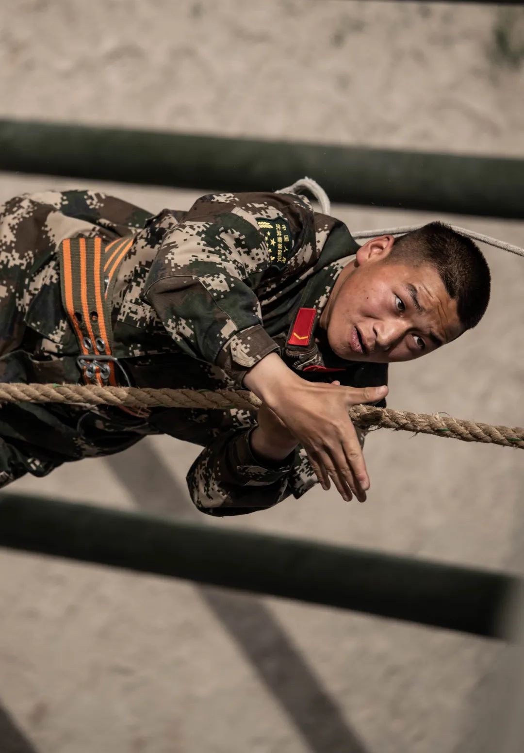 包含集结日体能课后，芝加哥公牛临场应变备战社区盾，信心回归，控场能力受关注的词条